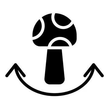 ceiling painting service dubai